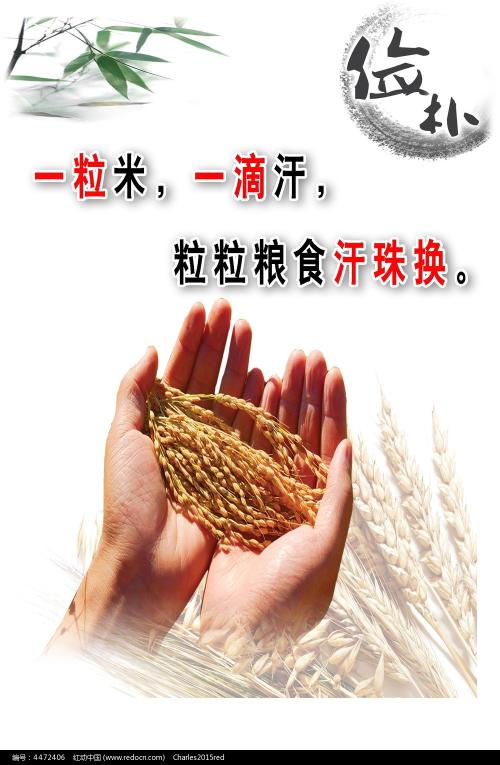 一比一仿迪法恩斯学院文凭毕业证